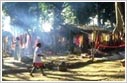 Bastar Village