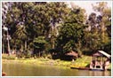 Assam