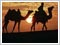 Rajasthan