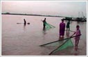 Fishermen at Sunderbans