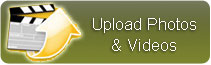 Upload Photos here