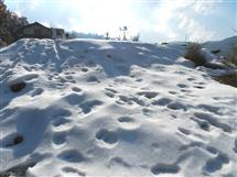 <div class="gallery_cyan" style="margin-top:79px;">   <p style="text-align:left;">       <a href="29931-sangrah-travel-photo.html">Panoramic view of  Snow cowered Village Kajwa of Sangrah Block.  </a><br />Monday, January 30, 2012, <a href="../profiles/briefbio.aspx?ID=995307" rel="nofollow">by Jai Prakash</a>   </p>   <div class="block Whiteverdana12">Click on Photos to change</div></div>